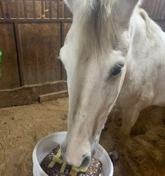 Horse Birthday Cake